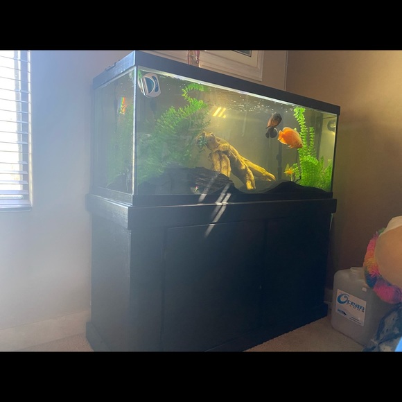 75 gallon fish tank with stand and filter - Picture 2 of 3